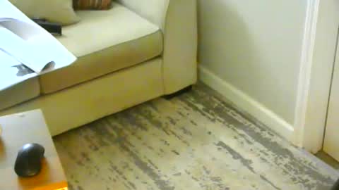 Snapshot of snizniz chatting on January 21, 6:23 pm snizniz online show from January 21, 6:23 pm