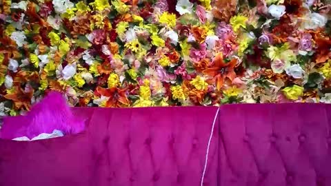 soakerpalace online show from November 9, 5:22 am