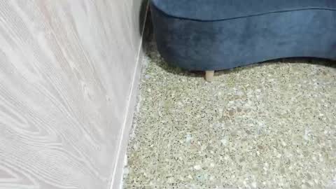 sofi_posada online show from November 13, 11:02 am