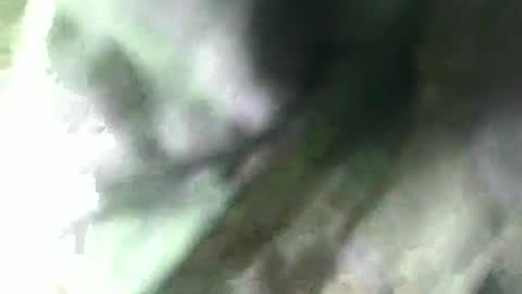 Sophia Tamil online show from March 10, 8:28 am