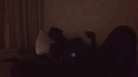 Snapshot of spoiltbrattt chatting on September 18, 4:22 pm spoiltbrattt online show from September 18, 4:22 pm