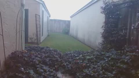 srtxshow online show from November 25, 12:59 pm