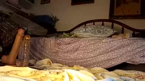 Dick online show from October 23, 8:49 am