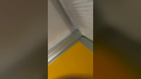 ste0076954 online show from July 25, 2:48 pm
