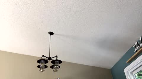 Steakman online show from February 23, 6:01 pm