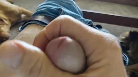 steg333 online show from December 20, 8:01 pm