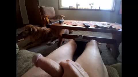 steg333 online show from November 25, 9:46 pm