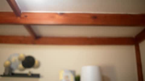 Stella online show from February 22, 9:13 am