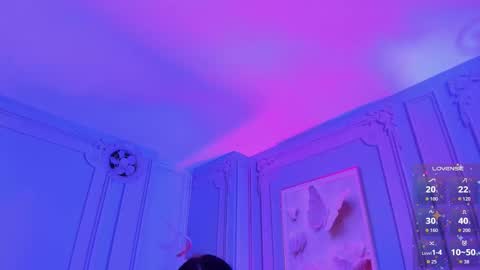         online show from November 4, 2:13 am