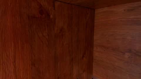 Stone Lee  online show from February 23, 9:55 am