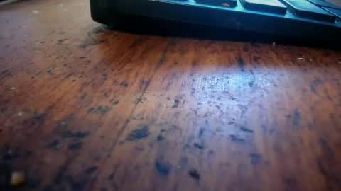 Stoner Dad online show from April 28, 6:45 pm