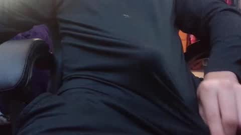 stray cat online show from December 16, 7:53 pm