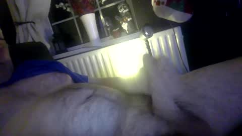 stud_1975 online show from December 6, 12:18 am