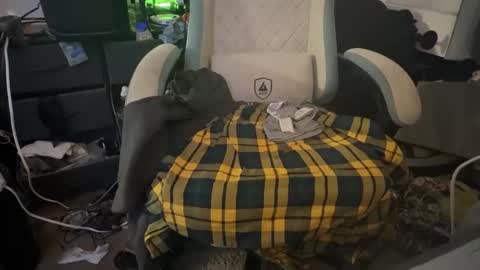 Snapshot of sub_boy221059 chatting on October 28, 6:42 pm sub_boy221059 online show from October 28, 6:42 pm