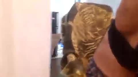 Cuteipie online show from December 29, 1:34 am