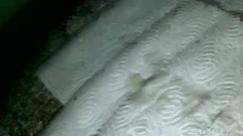 Snapshot of suesser0009 chatting on February 18, 9:53 pm Martin sweetboy online show from February 18, 9:53 pm