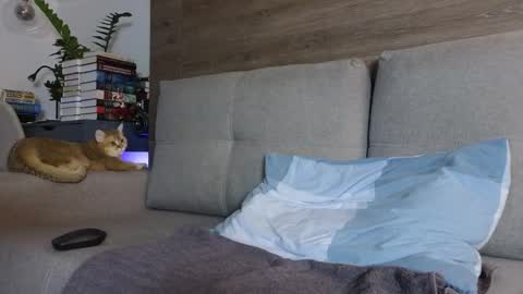 sultryandrewww online show from February 17, 6:18 pm