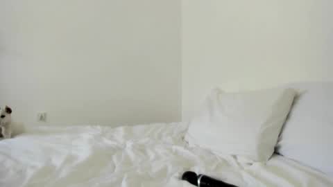 Angel PVT show open online show from October 12, 3:43 am