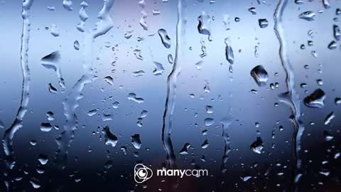 sven online show from February 6, 8:18 am