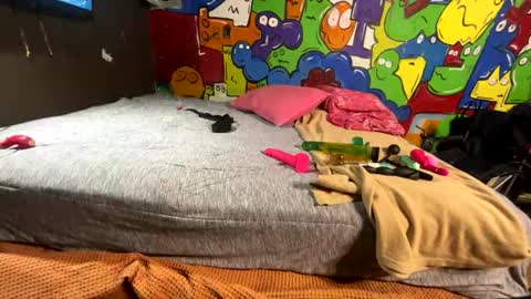 Stony online show from November 4, 8:15 am