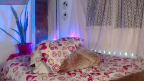 susy online show from May 23, 1:12 am
