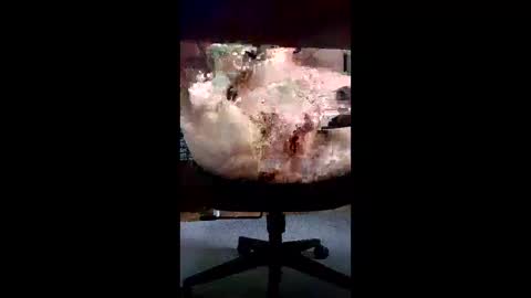 svald0 online show from June 5, 12:43 pm