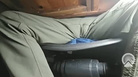 swamp486822 online show from February 5, 6:13 am