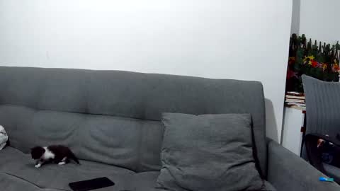 sweet_cum8 online show from July 25, 12:41 am
