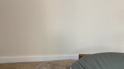 Heidi Brenner - Please check bio for schedule  FAQ online show from January 7, 5:29 pm