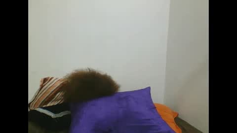 NASHA online show from February 25, 4:46 pm