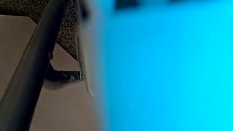 sweetboy842 online show from January 28, 2:32 am