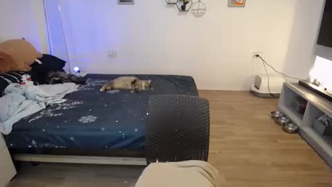 angel 3 online show from January 21, 4:48 pm