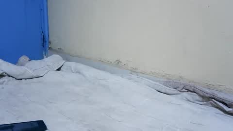 Snapshot of sweetvalk20 chatting on October 28, 9:16 pm sweetvalk20 online show from October 28, 9:16 pm