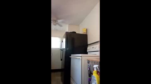 syringe23 online show from January 18, 8:18 pm