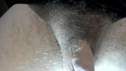 Snapshot of tacosize chatting on October 31, 9:26 pm mr taco online show from October 31, 9:26 pm