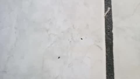 tall6feet7inch online show from September 14, 11:44 am