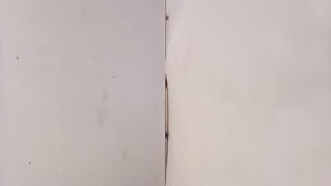 tall6feet7inch online show from March 15, 9:24 am