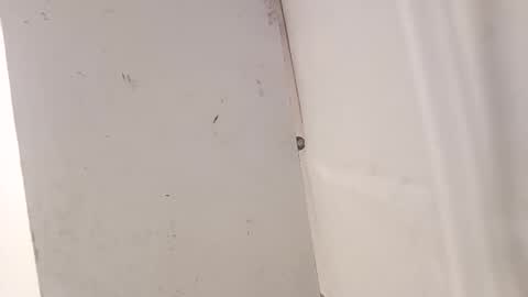 tall6feet7inch online show from December 18, 7:36 am