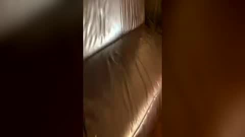 tall_shy_kitty online show from July 4, 12:37 am