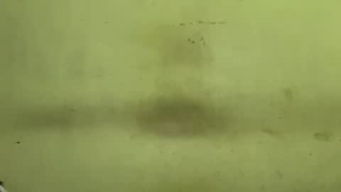 Tanya online show from November 23, 4:43 am