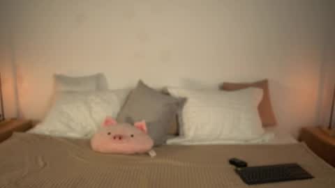 Tamy online show from November 7, 3:09 am