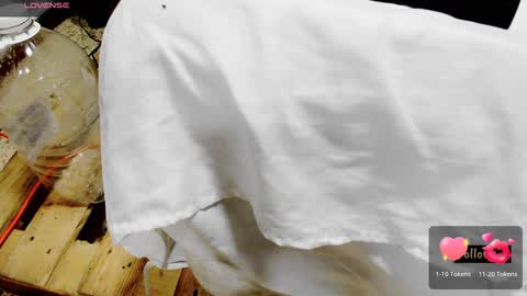 instagram Gattitasha online show from February 26, 12:41 am