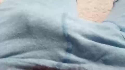 tastemez online show from December 3, 8:15 am