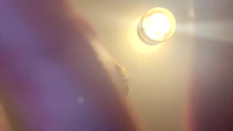 tastytexas24 online show from March 19, 8:47 pm