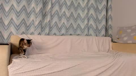 Tate online show from February 7, 9:15 pm