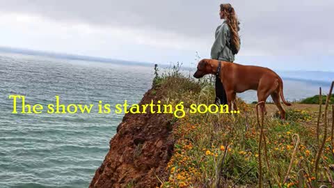 TATUM  ALL MY LINKS  online show from February 3, 1:02 am