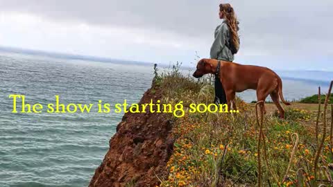 TATUM  ALL MY LINKS  online show from October 25, 1:06 am