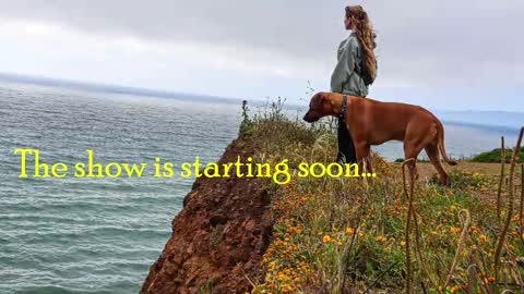 TATUM  ALL MY LINKS  online show from February 23, 1:52 am