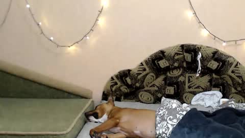 Taya online show from January 16, 9:13 pm