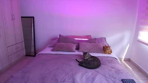 tender_dust online show from February 12, 8:45 pm